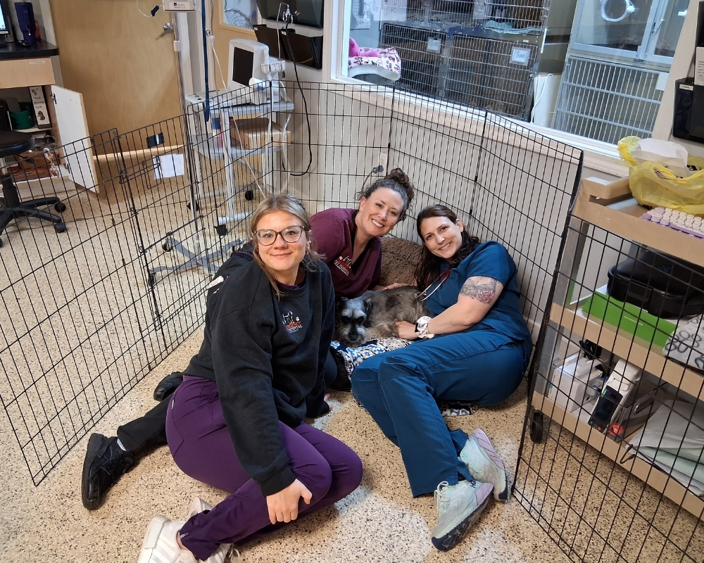 Mad Max and Staff Veterinary Team at Emergency Pet Hospital of Craven-Carteret
